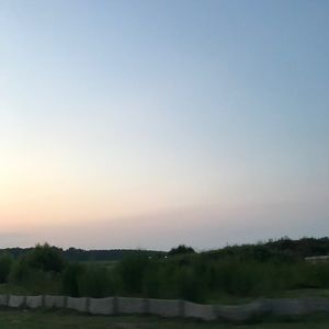 Meet your Posher, Allie